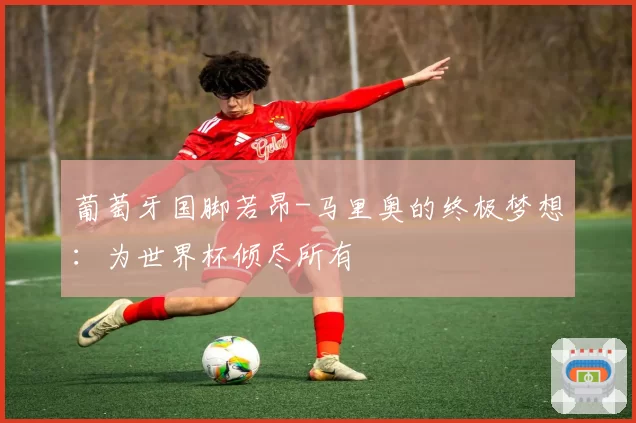 葡萄牙国脚若昂-马里奥的终极梦想：为世界杯倾尽所有