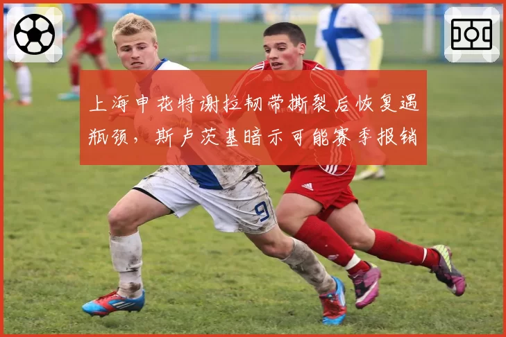 上海申花特谢拉韧带撕裂后恢复遇瓶颈，斯卢茨基暗示可能赛季报销