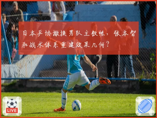 日本乒协撤换男队主教练，张本智和战术体系重建效果几何？